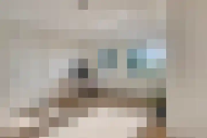 Kloosterstraat 59 Helmond thumbnail 33
