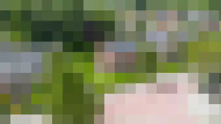 Kloosterstraat 6 Aduard thumbnail 38