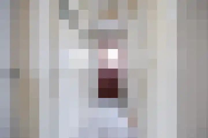 Kloosterstraat 6 Aduard thumbnail 7