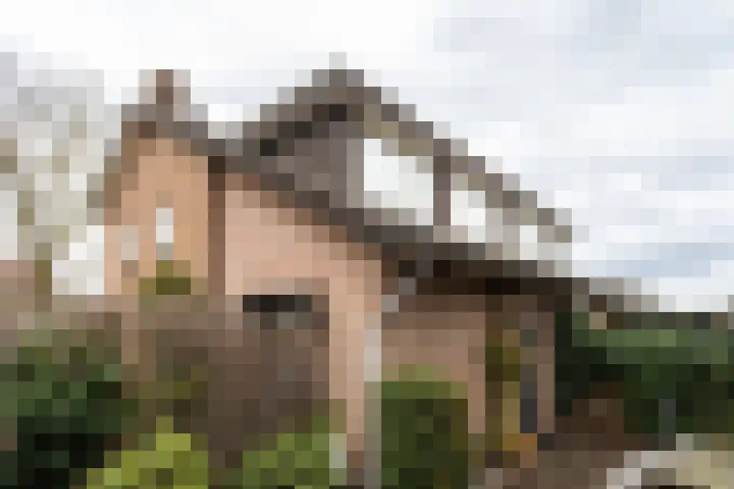 Kloosterstraat 60 Groesbeek thumbnail 33