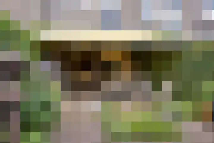 Kloosterstraat 65 Muiden thumbnail 6