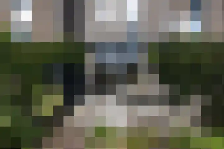 Kloosterstraat 65 Muiden thumbnail 7