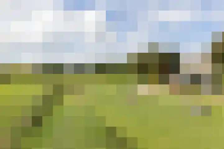 Kloosterstraat 65 Muiden thumbnail 8