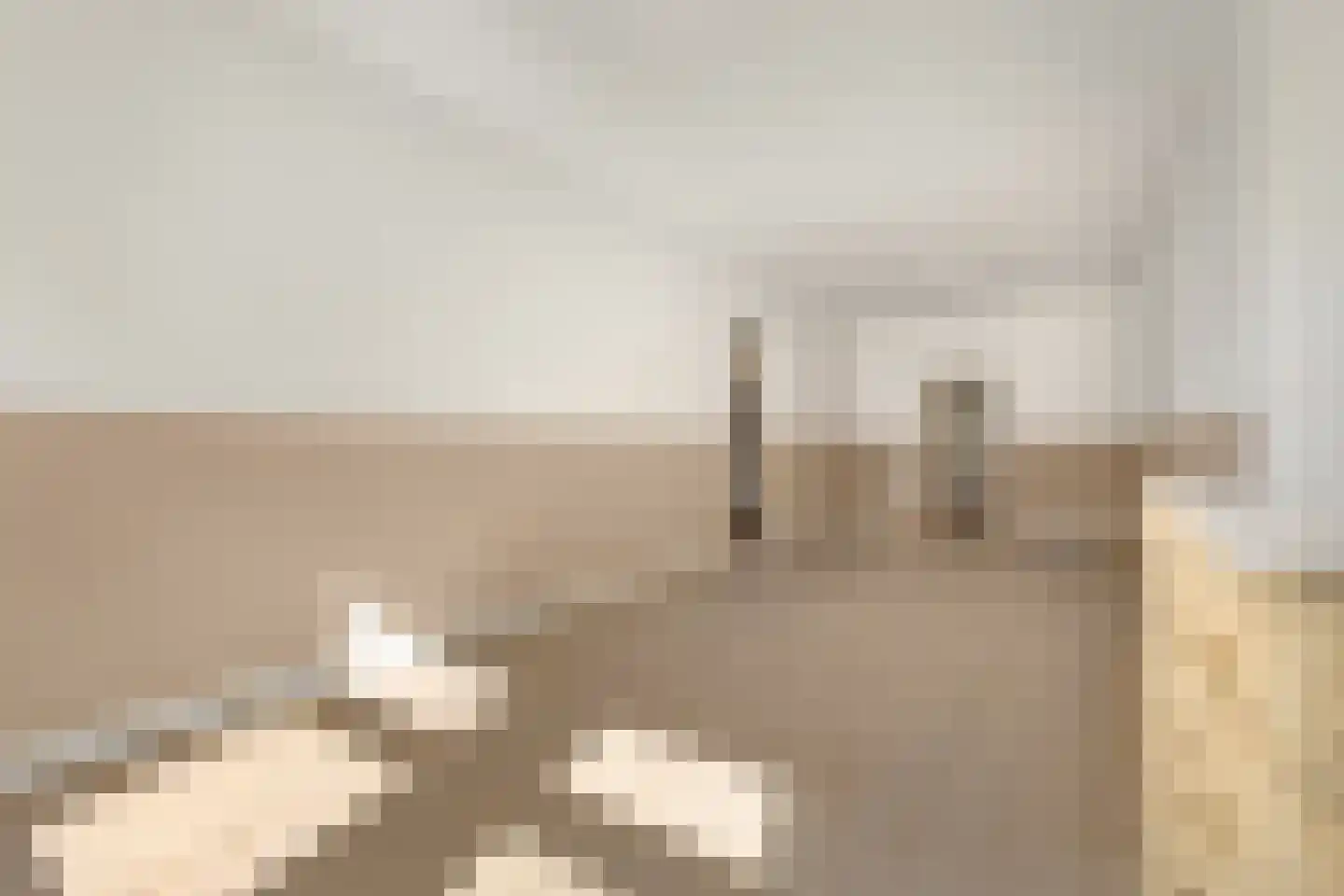 Kloosterstraat 69 ZW Haarlem thumbnail 9