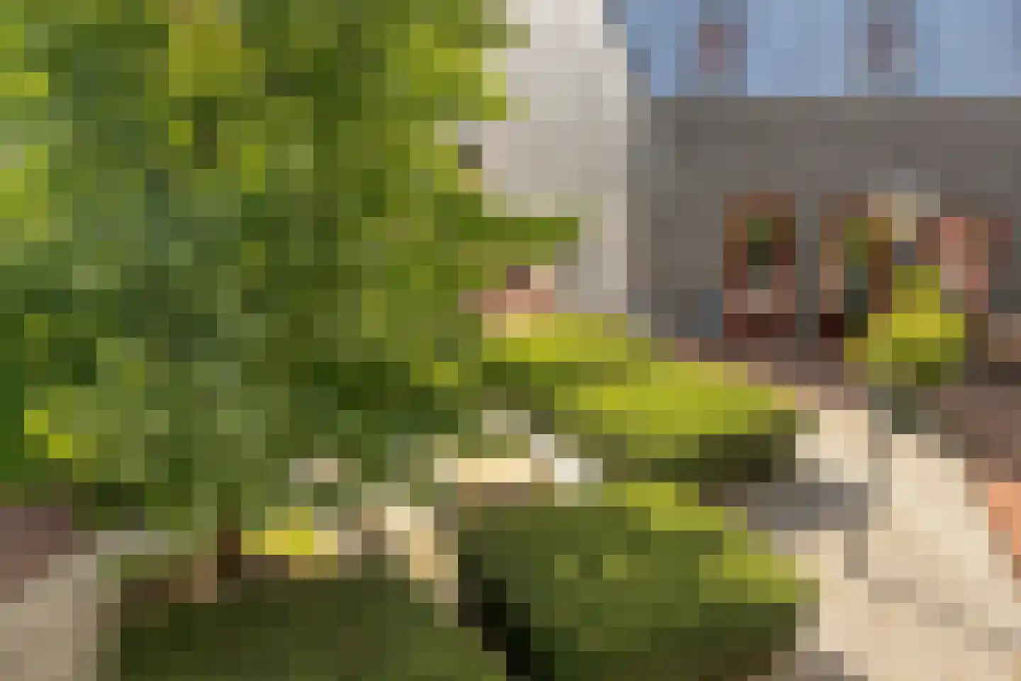 Kloosterstraat 7 a IJsselstein thumbnail 33