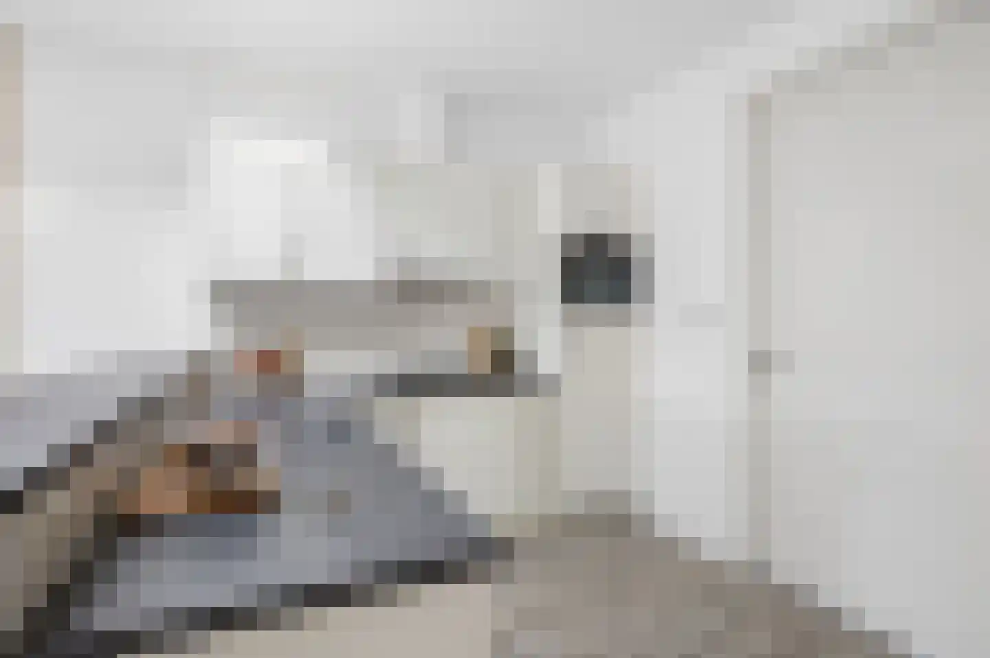 Kloosterstraat 7 a Nijkerk thumbnail 22