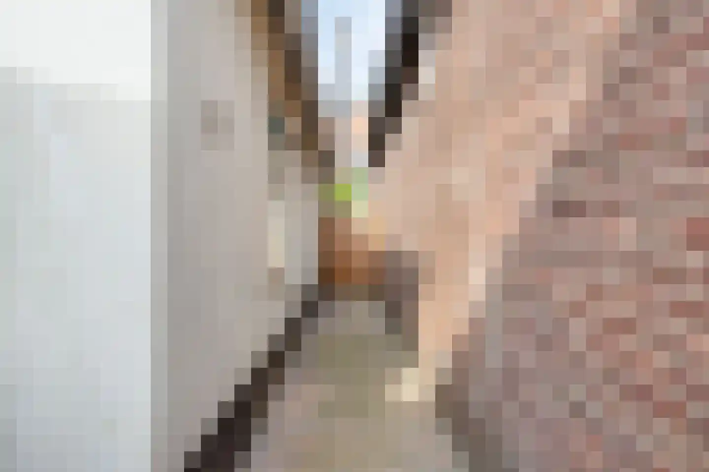 Kloosterstraat 7 Wamel thumbnail 26