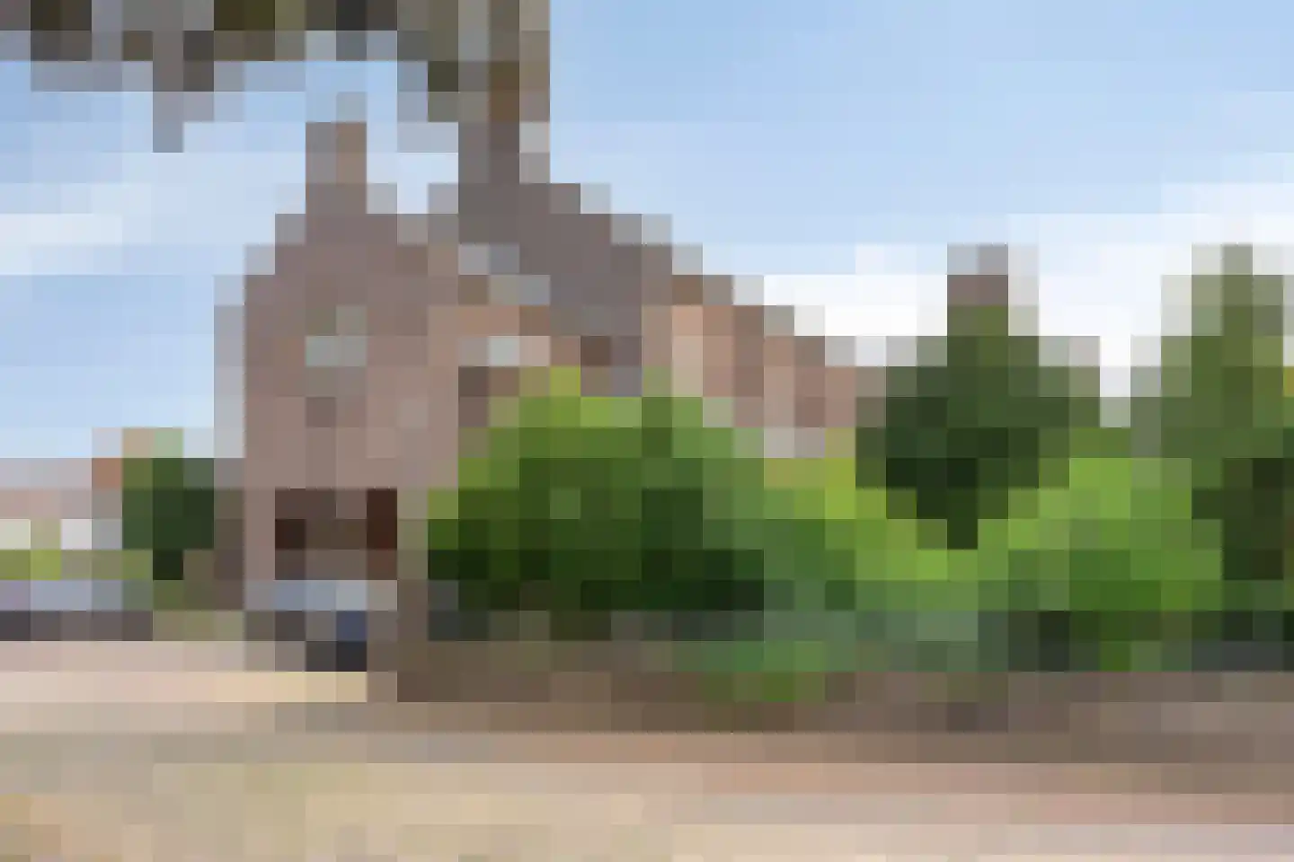 Kloosterstraat 7 Wamel thumbnail 29
