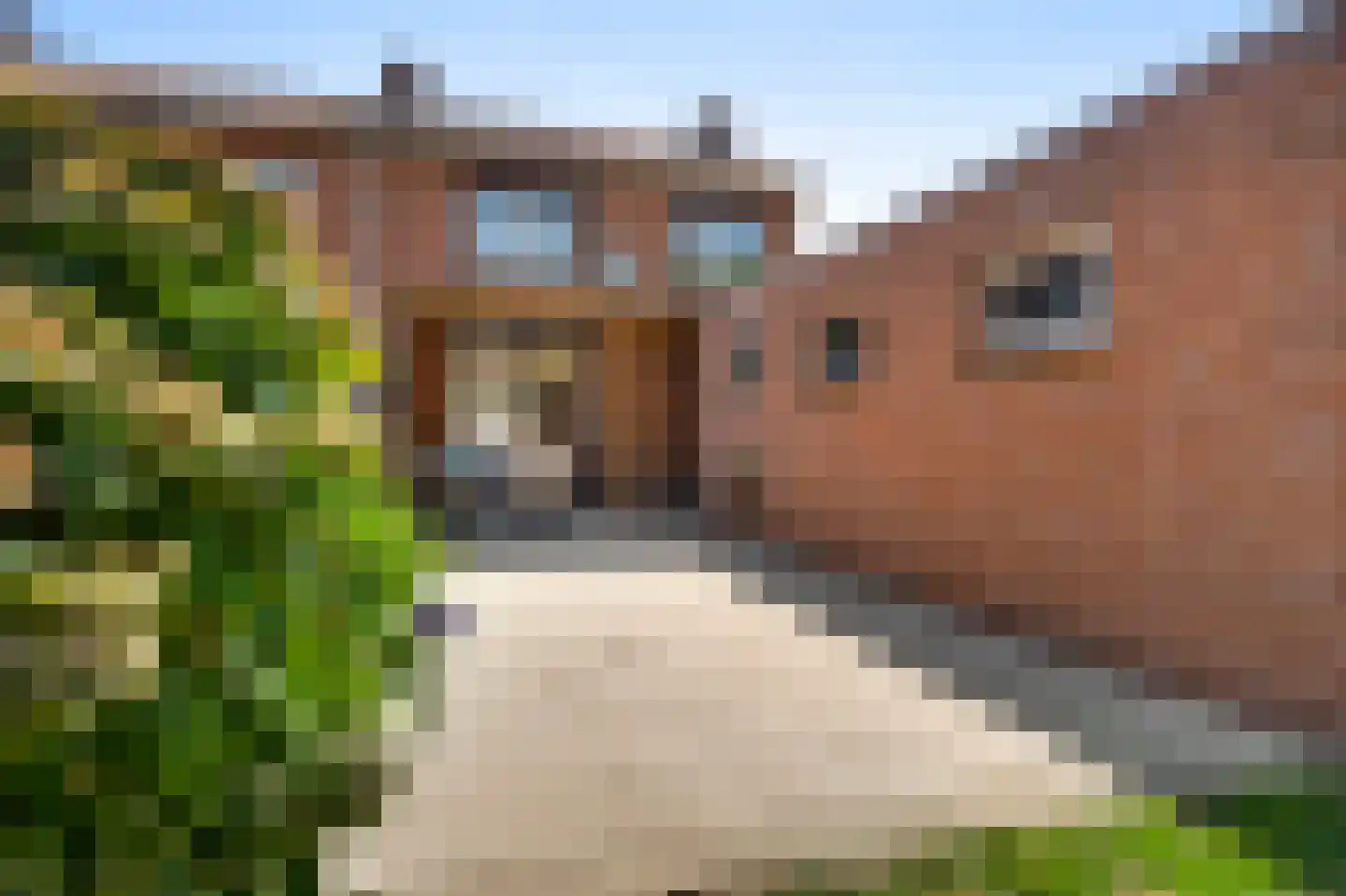 Kloosterstraat 7 Weert thumbnail 6