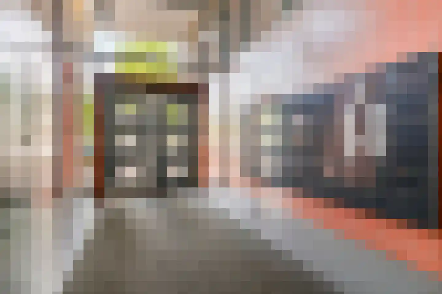 Kloosterstraat 70 Roosendaal thumbnail 43