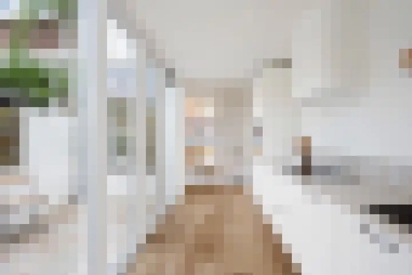 Kloosterstraat 75 Haarlem thumbnail 15