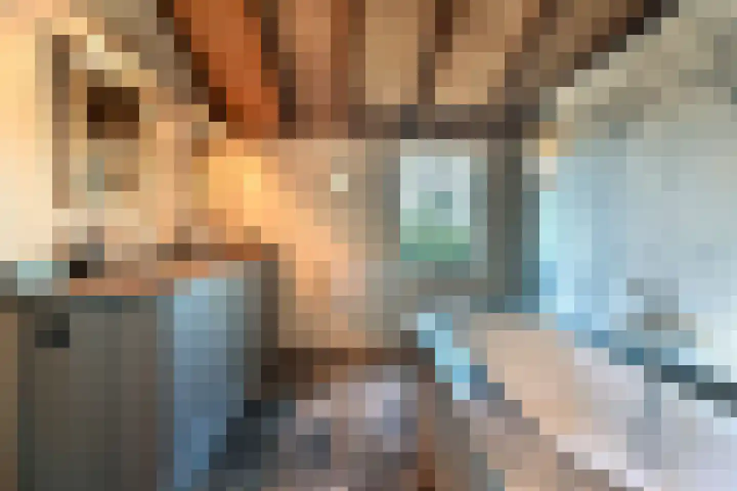 Kloosterstraat 8 a Chaam thumbnail 15