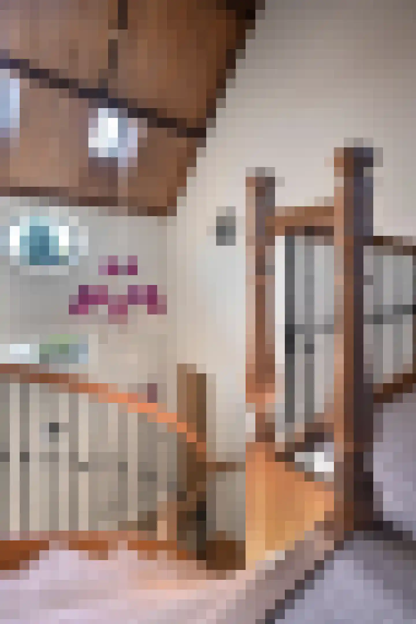 Kloosterstraat 8 a Chaam thumbnail 17