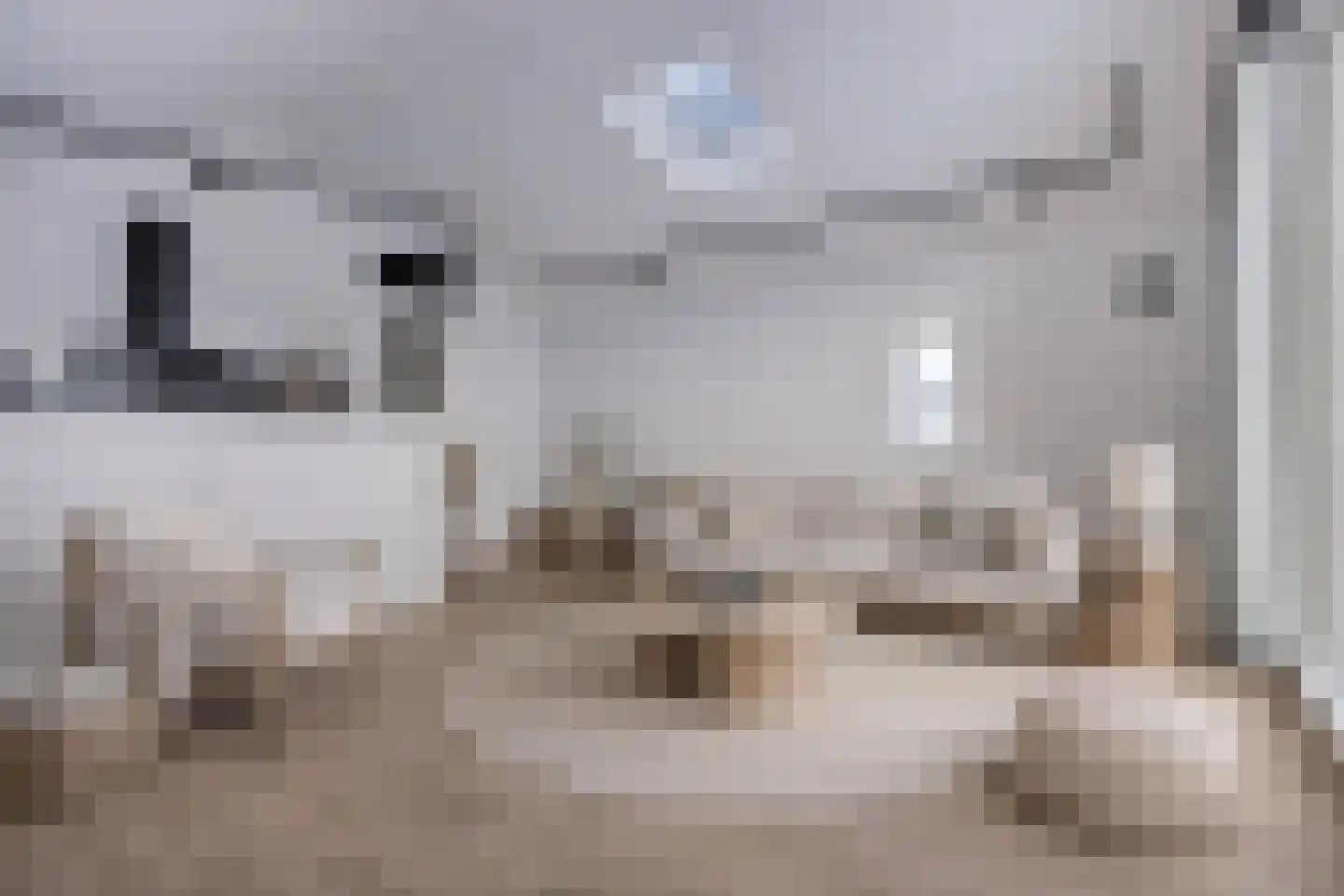 Kloosterstraat 8 B Muiden thumbnail 13