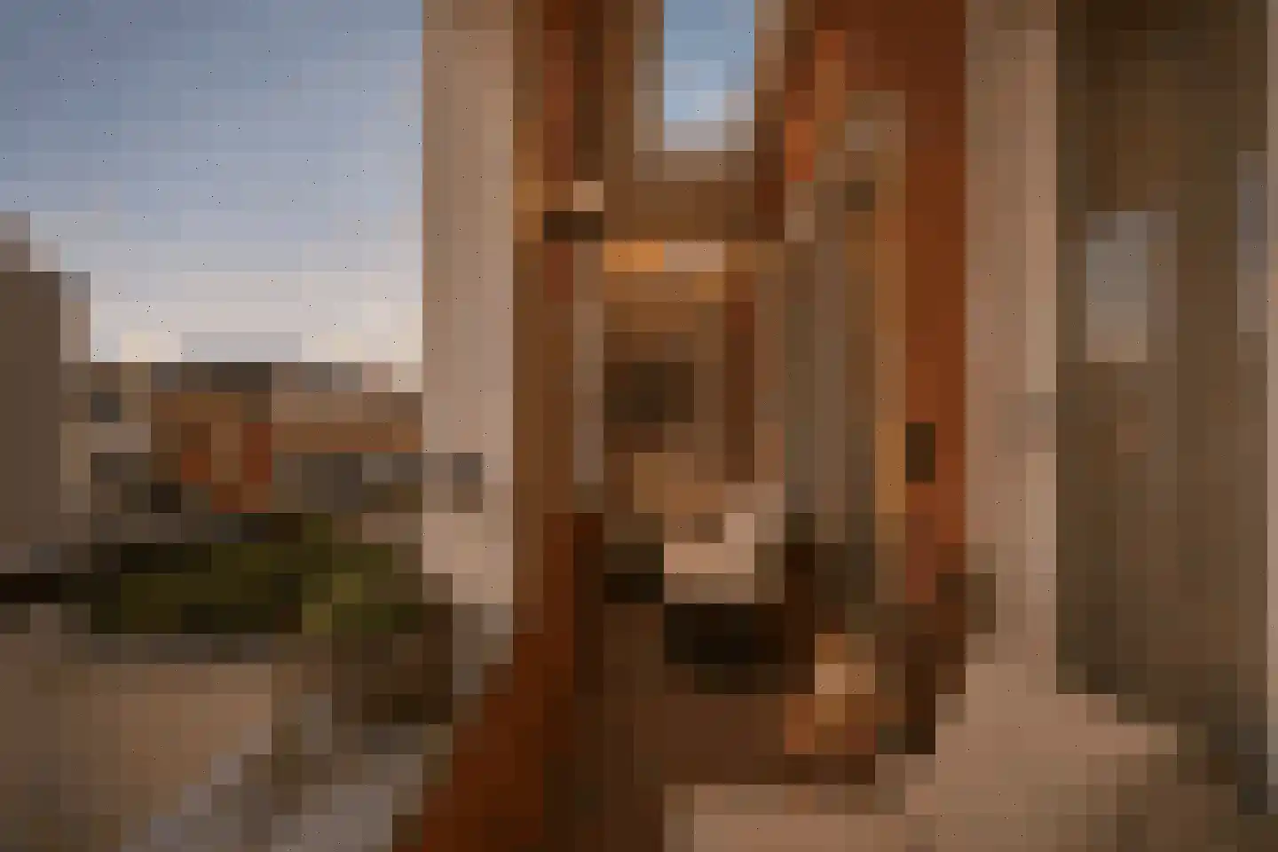 Kloosterstraat 8 B Muiden thumbnail 32