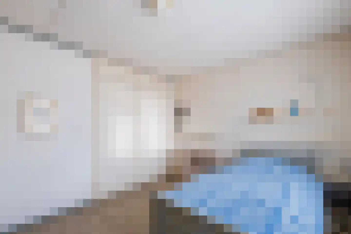 Kloosterstraat 8 Lemelerveld thumbnail 19