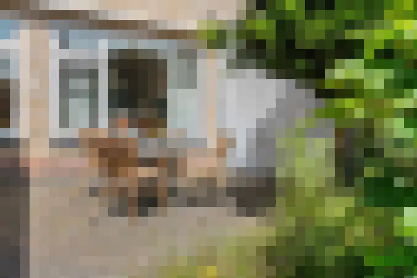 Kloosterstraat 8 Lemelerveld thumbnail 30