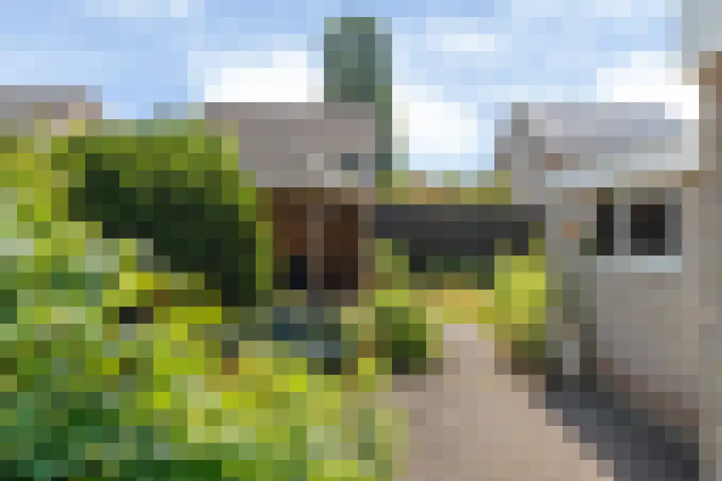 Kloosterstraat 8 Lemelerveld thumbnail 34