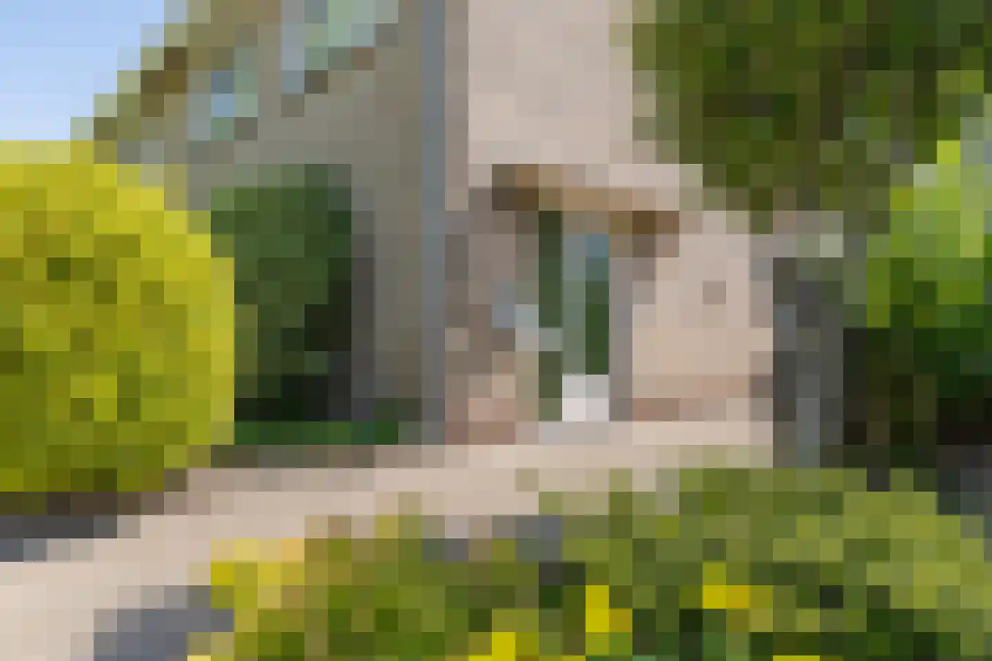 Kloosterstraat 8 Lemelerveld thumbnail 6