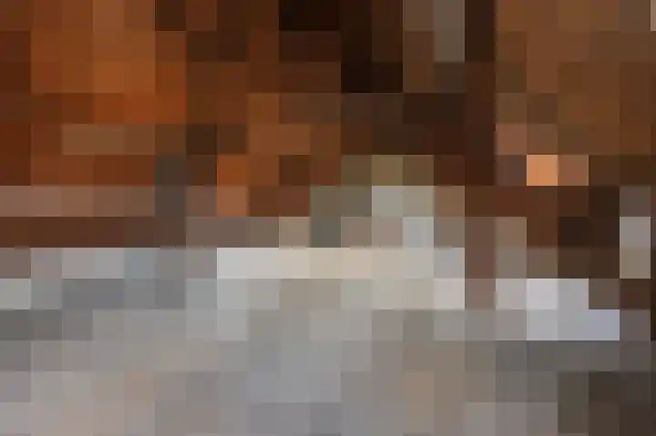 Kloosterstraat 8 Maasbracht thumbnail 36