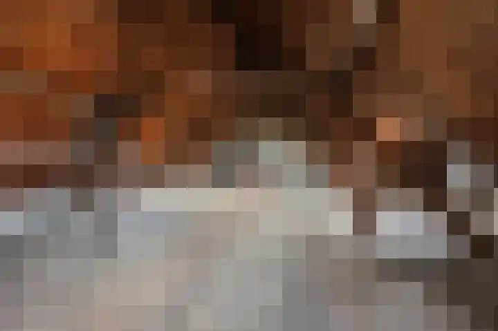 Kloosterstraat 8 Maasbracht thumbnail 37