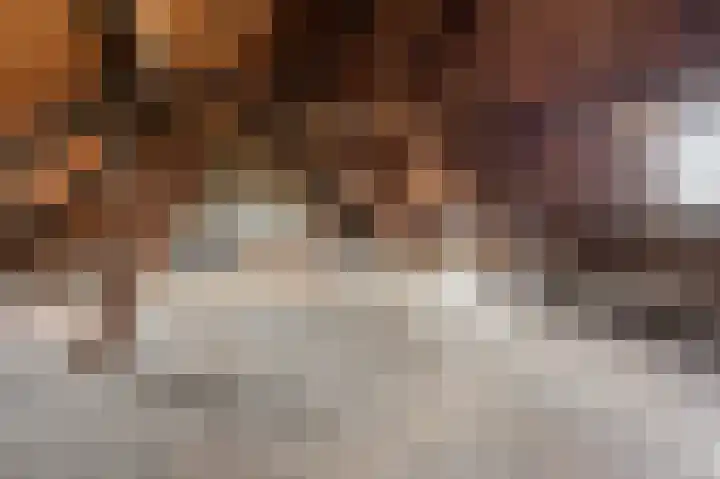 Kloosterstraat 8 Maasbracht thumbnail 38