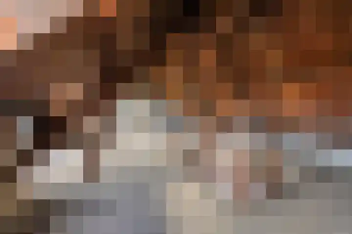 Kloosterstraat 8 Maasbracht thumbnail 39
