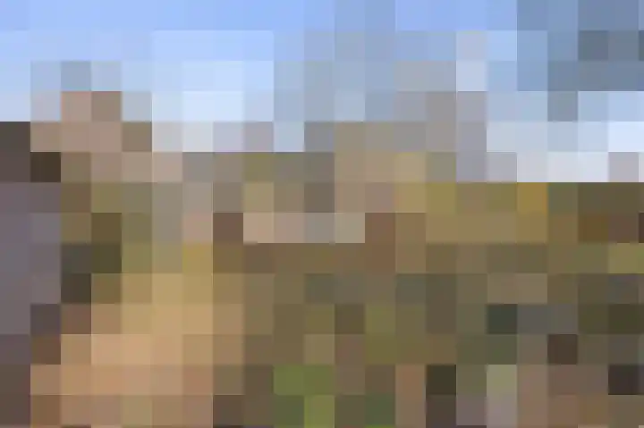 Kloosterstraat 8 Maasbracht thumbnail 4