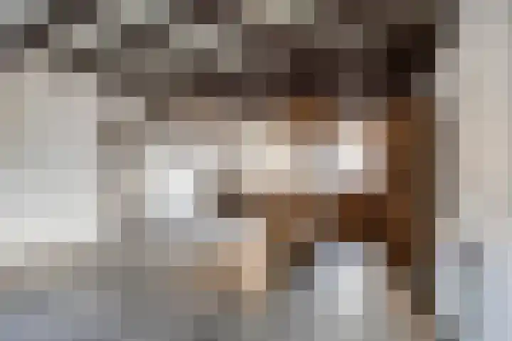 Kloosterstraat 8 Maasbracht thumbnail 41