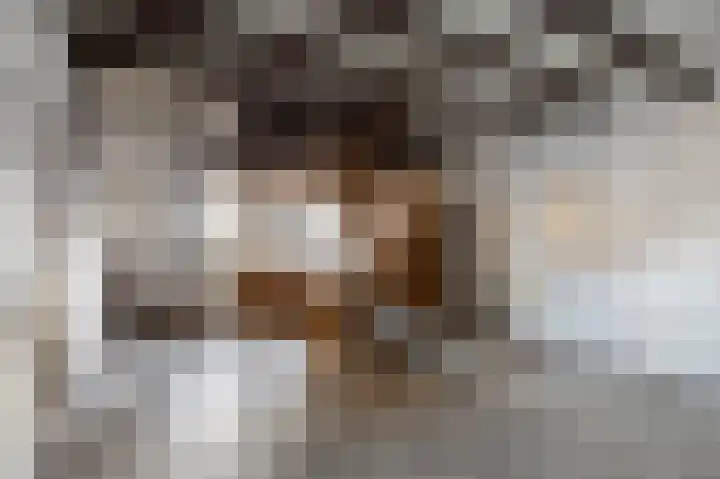 Kloosterstraat 8 Maasbracht thumbnail 42