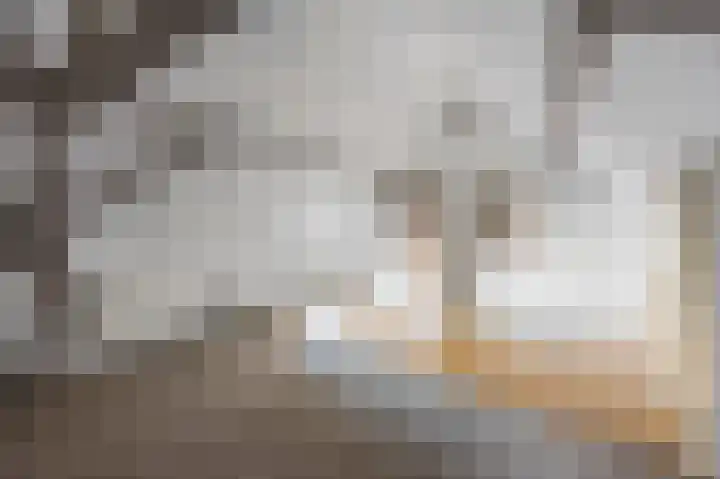 Kloosterstraat 8 Maasbracht thumbnail 48