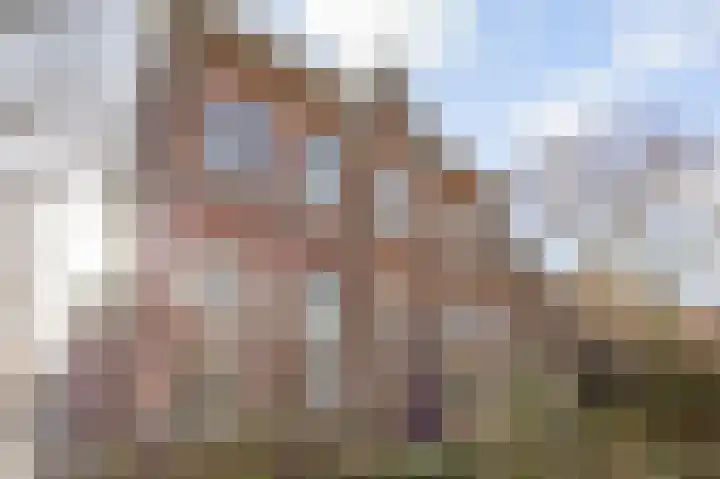 Kloosterstraat 8 Maasbracht thumbnail 5