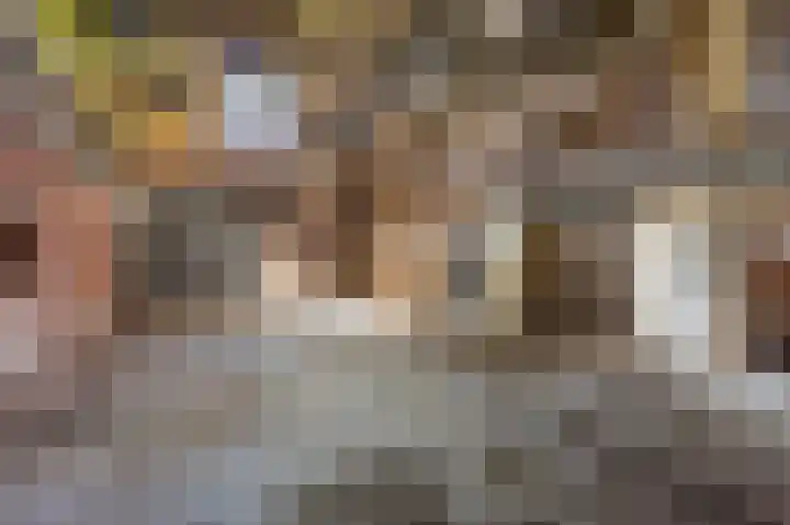 Kloosterstraat 8 Maasbracht thumbnail 51