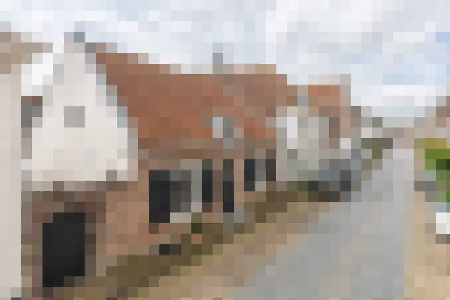 Kloosterstraat 8 Naarden thumbnail 52