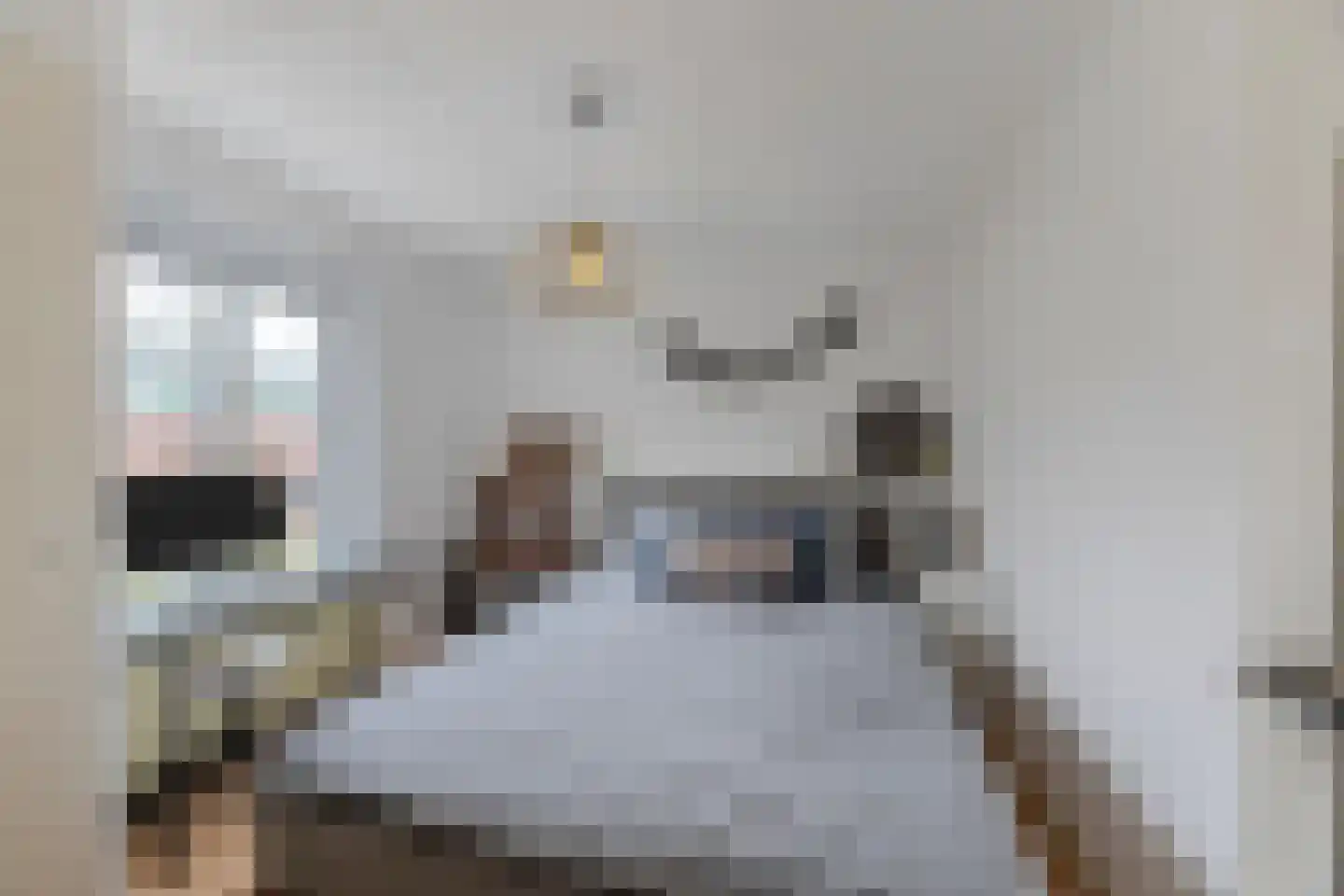 Kloosterstraat 8 Rijen thumbnail 23