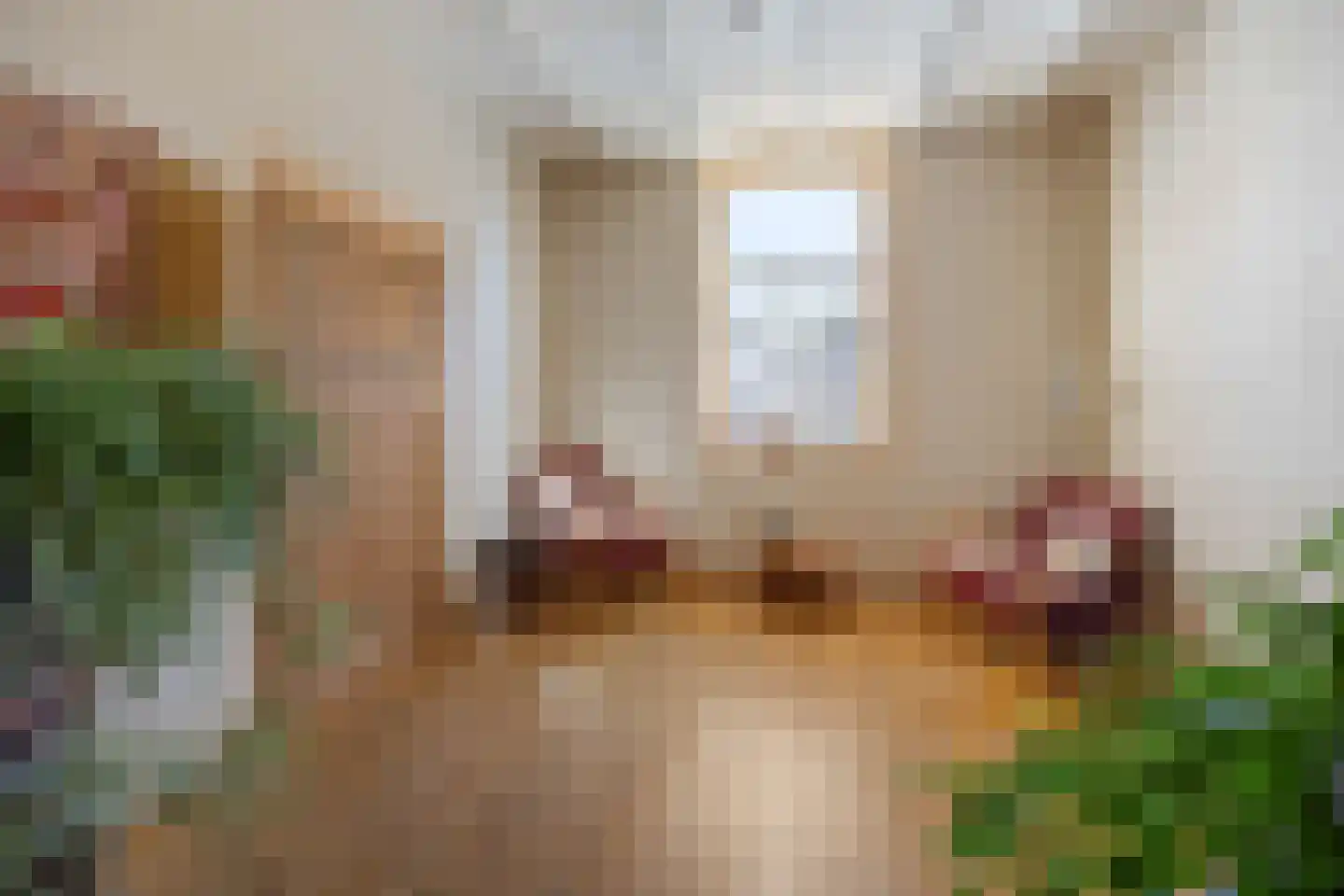 Kloosterstraat 8 Wamel thumbnail 18