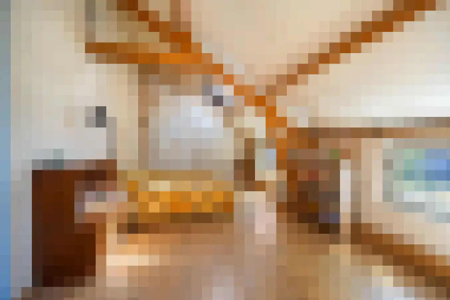 Kloosterstraat 8 Wamel thumbnail 31
