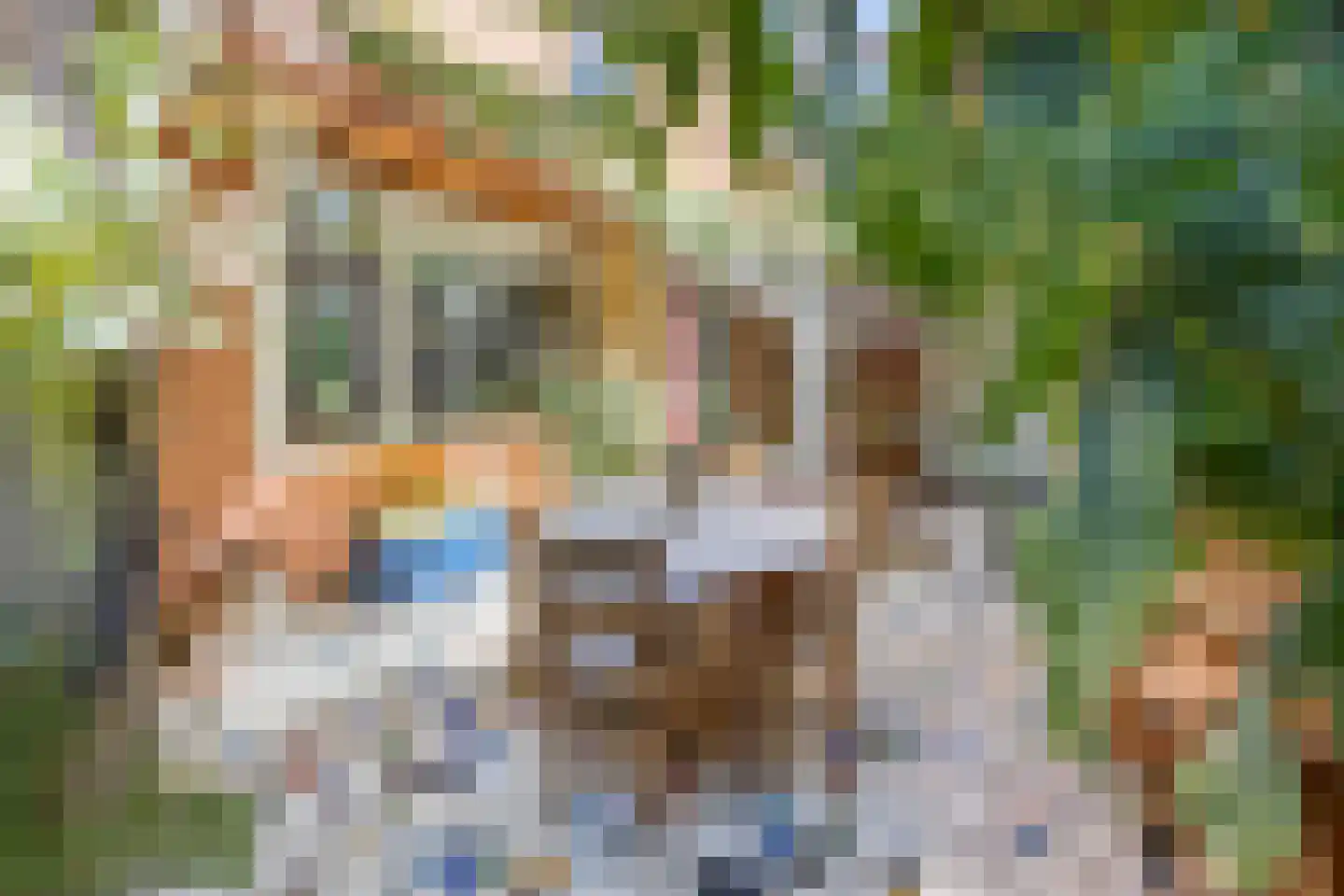 Kloosterstraat 8 Wamel thumbnail 33