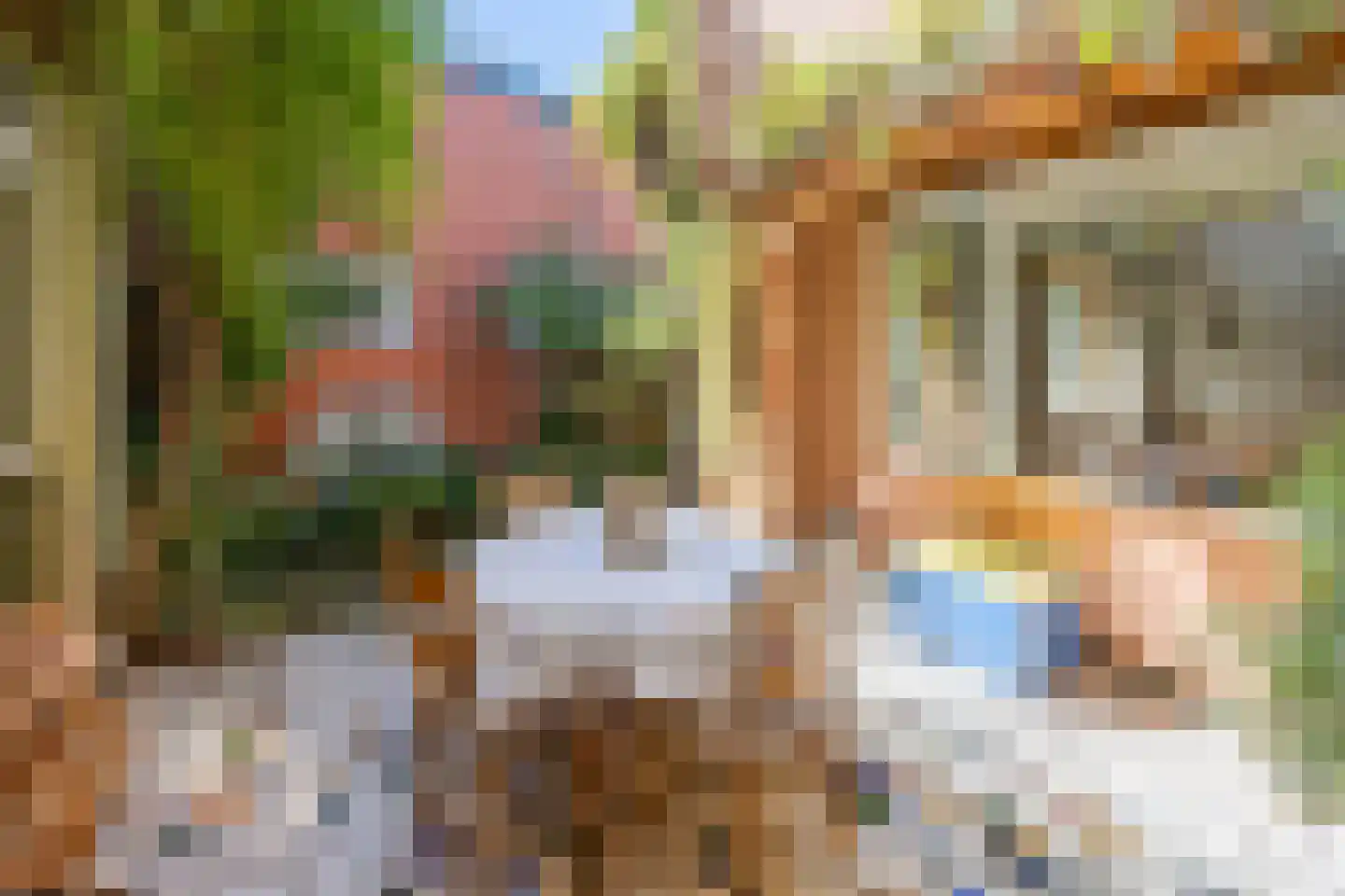 Kloosterstraat 8 Wamel thumbnail 34
