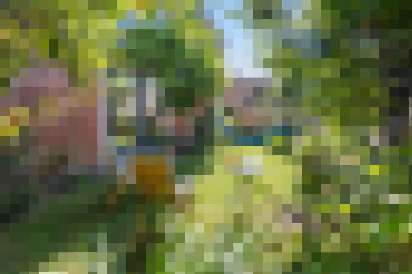 Kloosterstraat 8 Wamel thumbnail 36