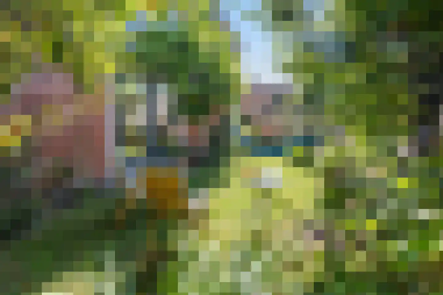 Kloosterstraat 8 Wamel thumbnail 36