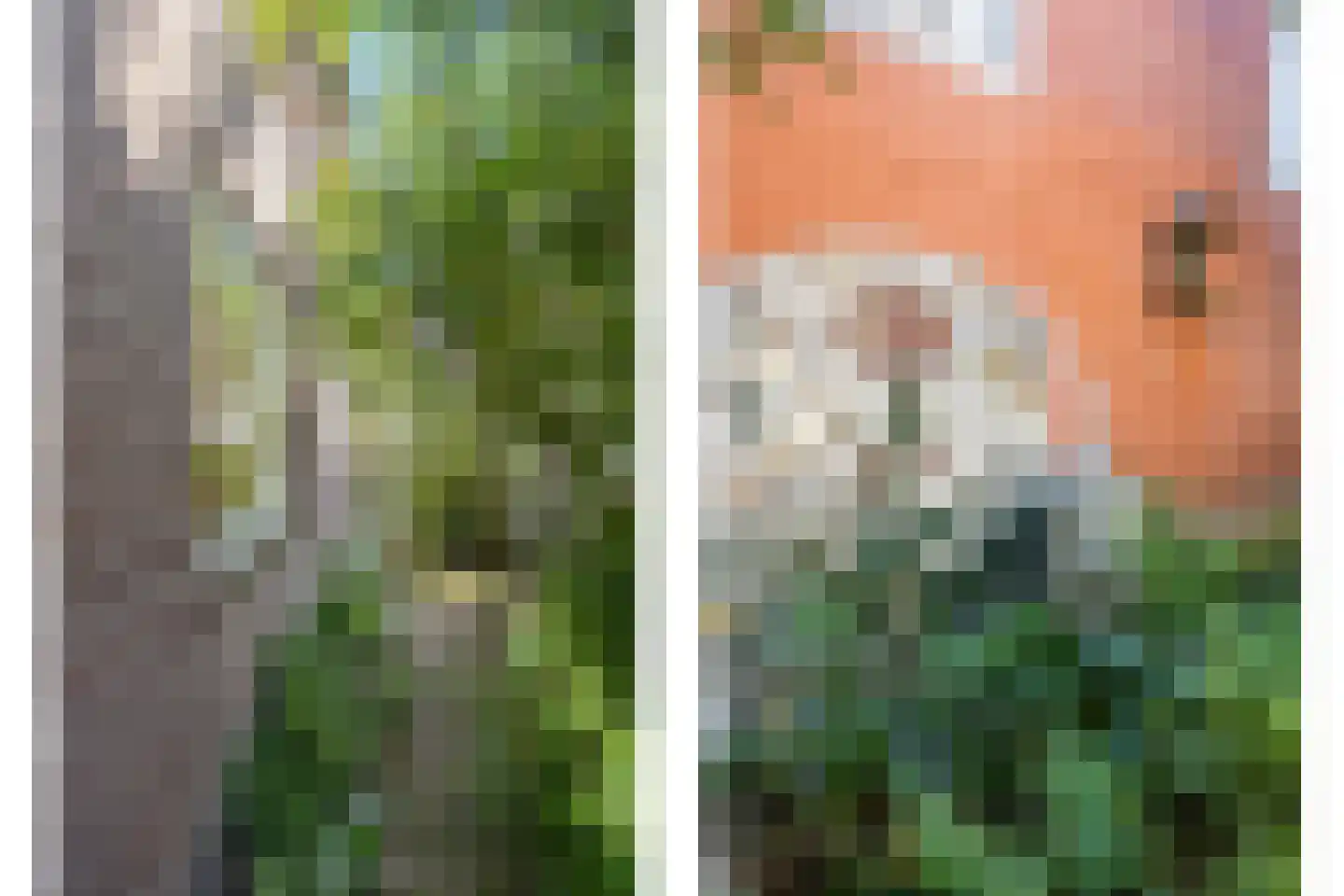 Kloosterstraat 8 Wamel thumbnail 39