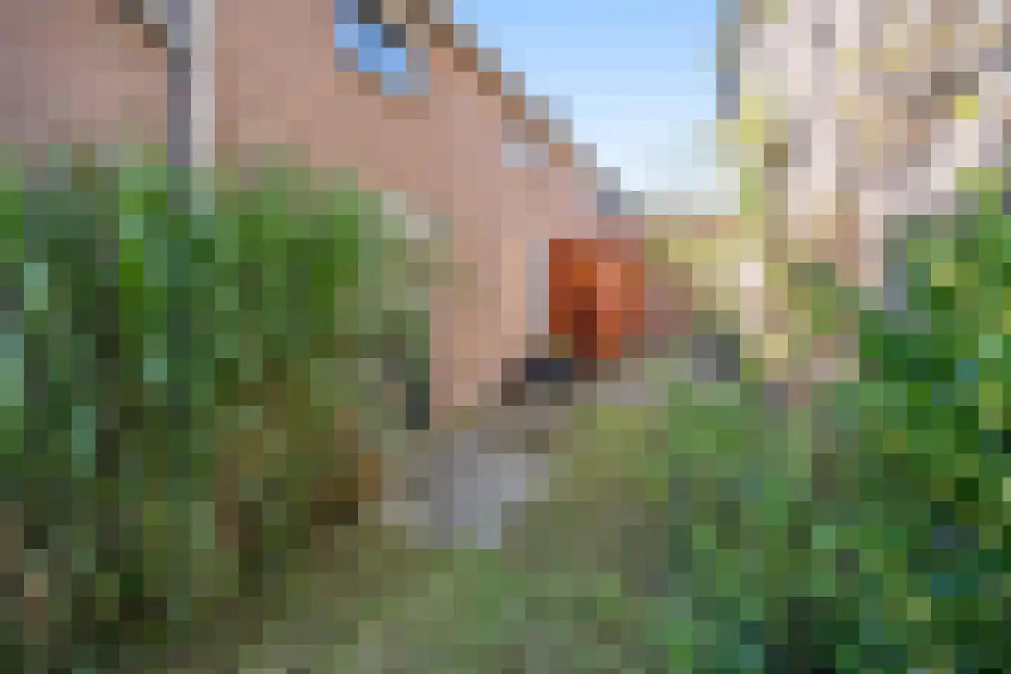 Kloosterstraat 8 Wamel thumbnail 42