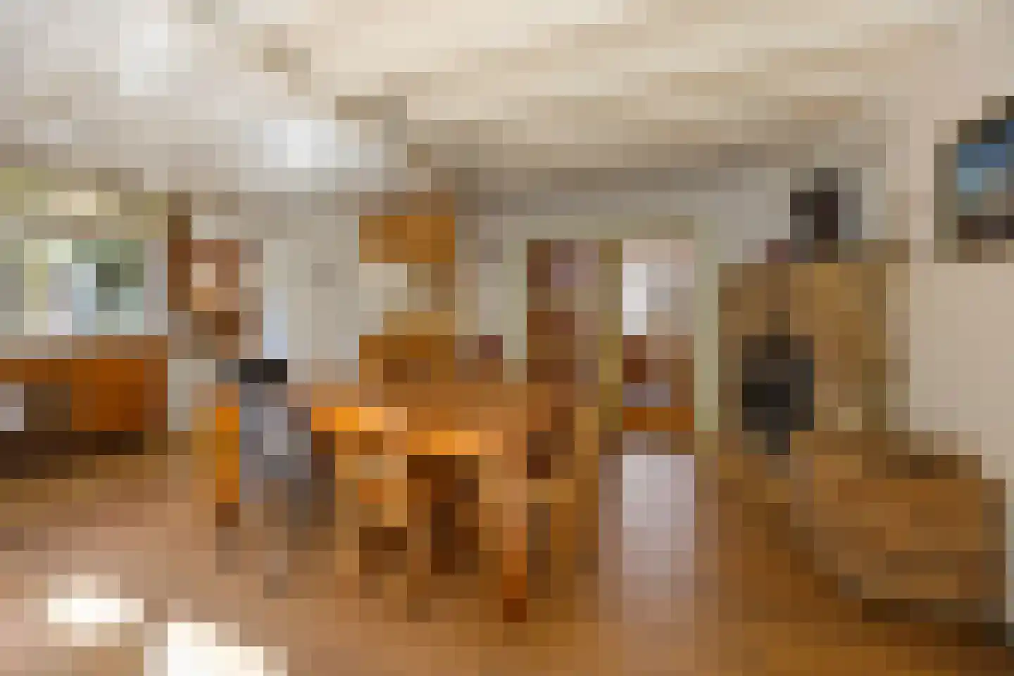 Kloosterstraat 8 Wamel thumbnail 5