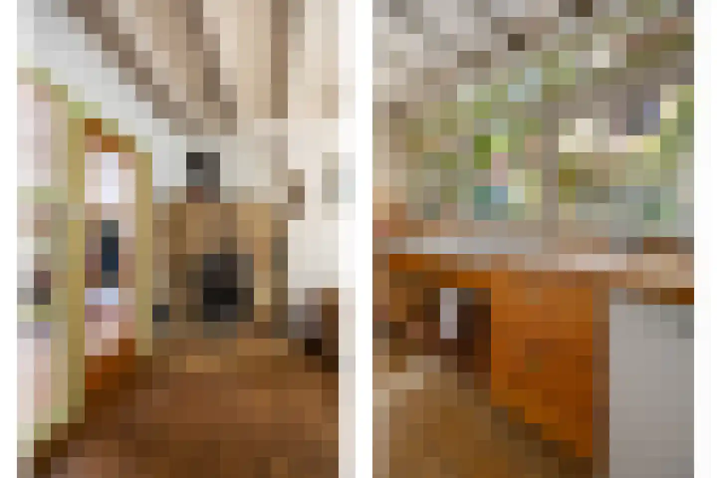 Kloosterstraat 8 Wamel thumbnail 7