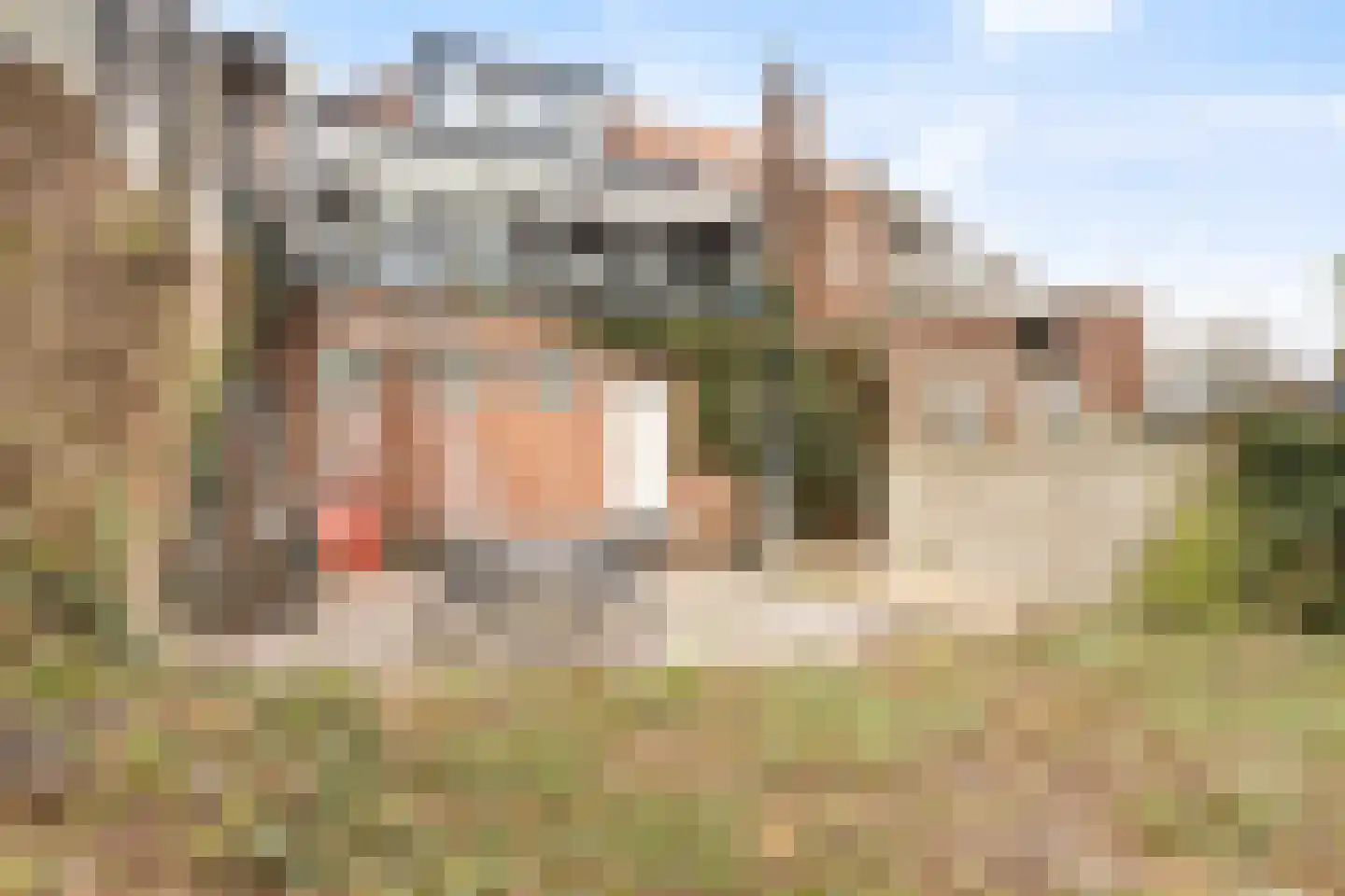 Kloosterstraat 81 Bergen op Zoom thumbnail 25