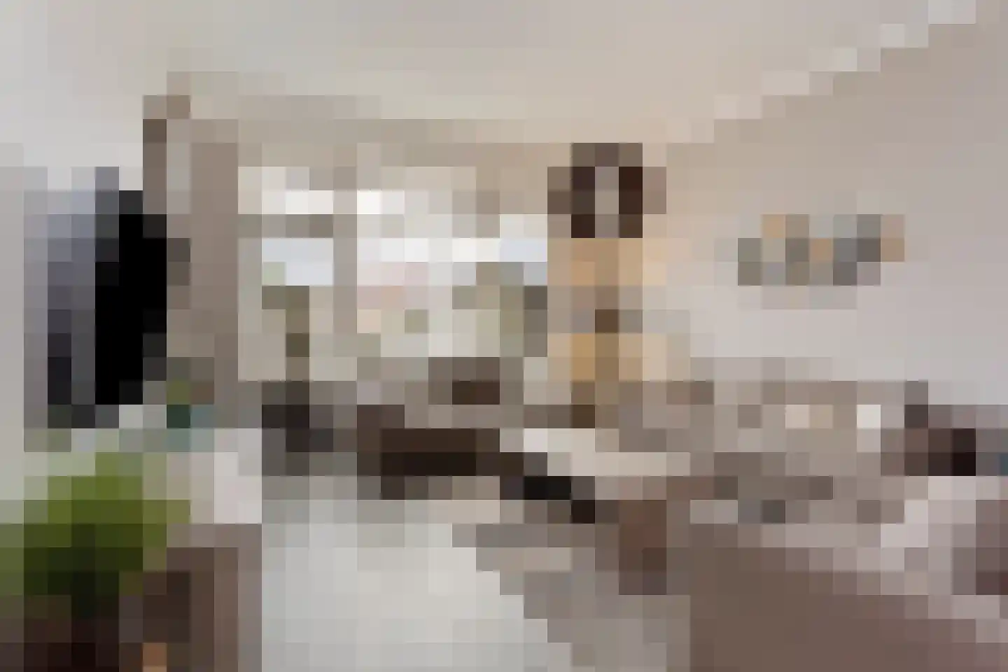 Kloosterstraat 81 Bergen op Zoom thumbnail 7