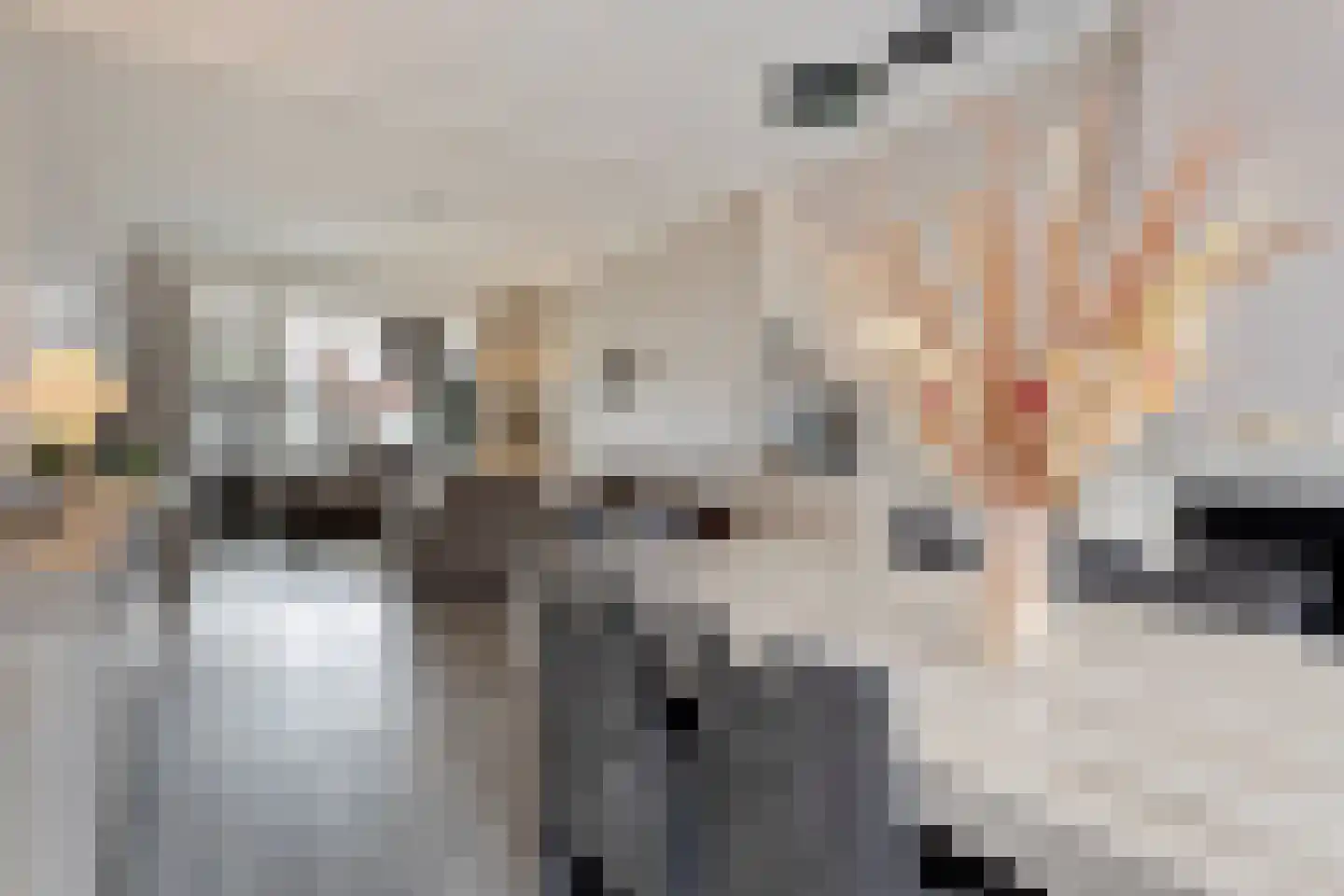 Kloosterstraat 81 Bergen op Zoom thumbnail 9