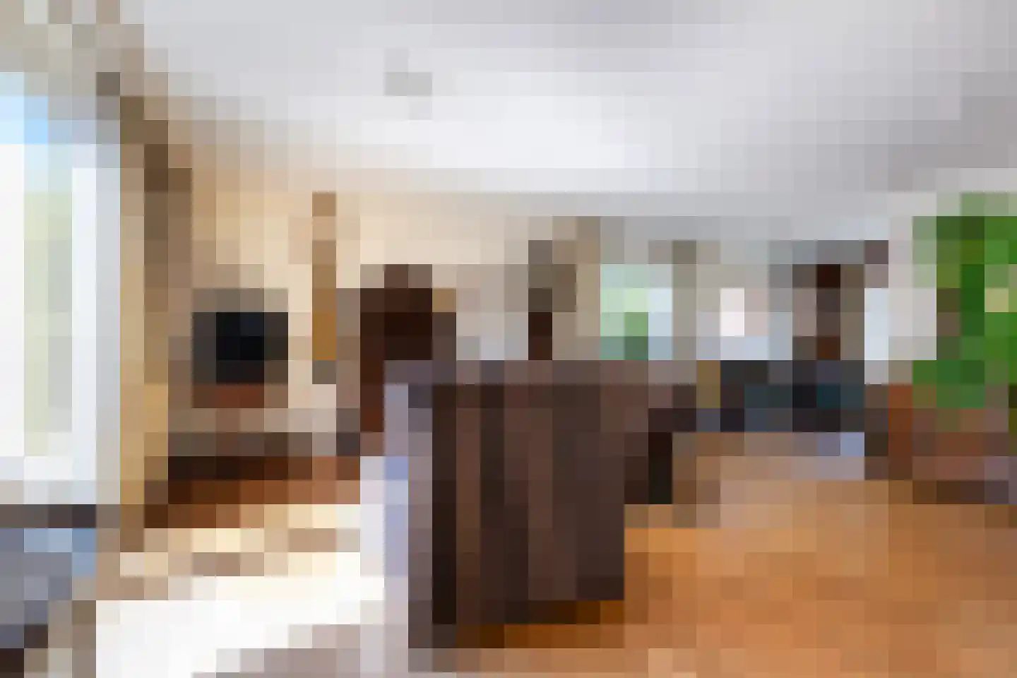 Kloosterstraat 81 Eerbeek thumbnail 18