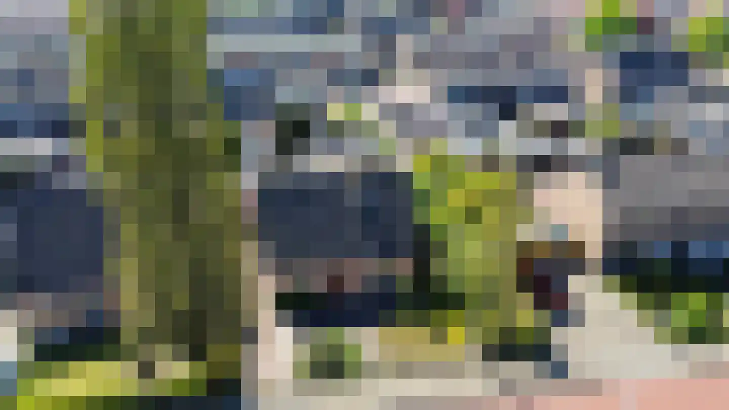 Kloosterstraat 81 Eerbeek thumbnail 48